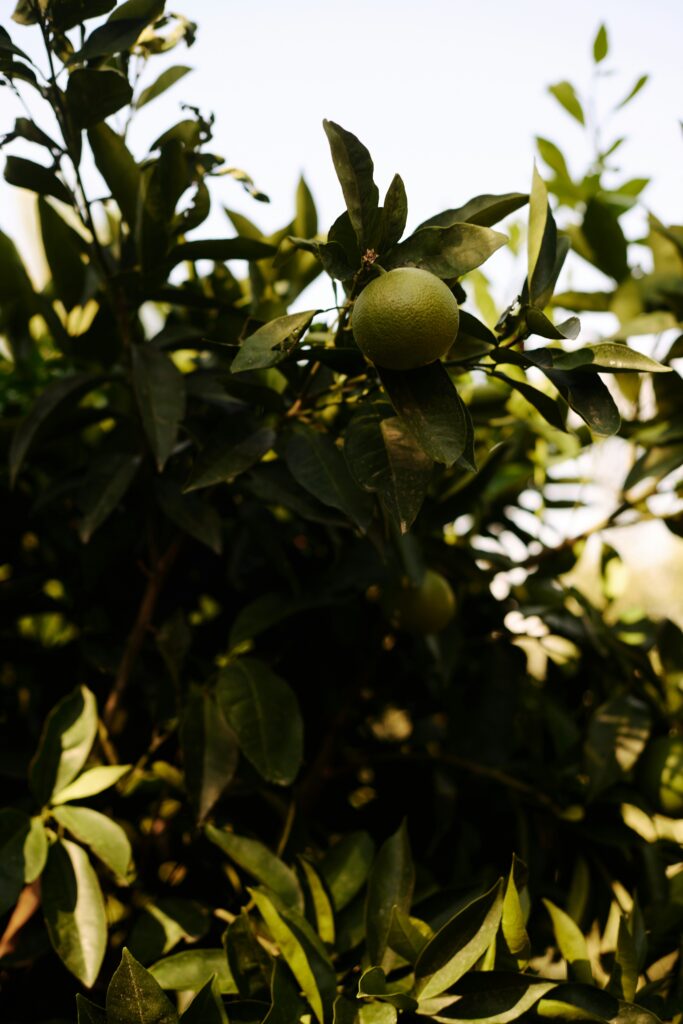 Hello World Featured Image